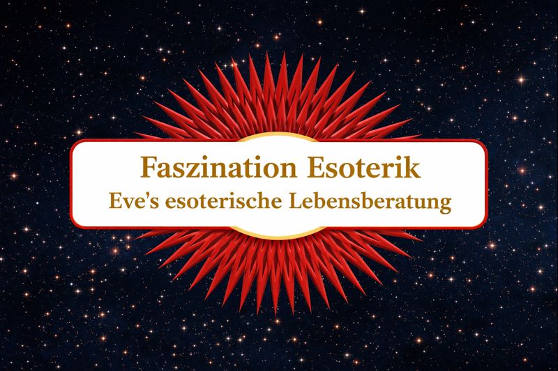 Die Suche ab 2009